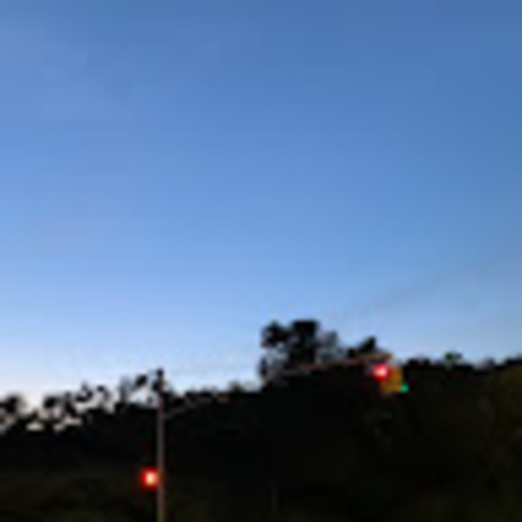 serenaeronini